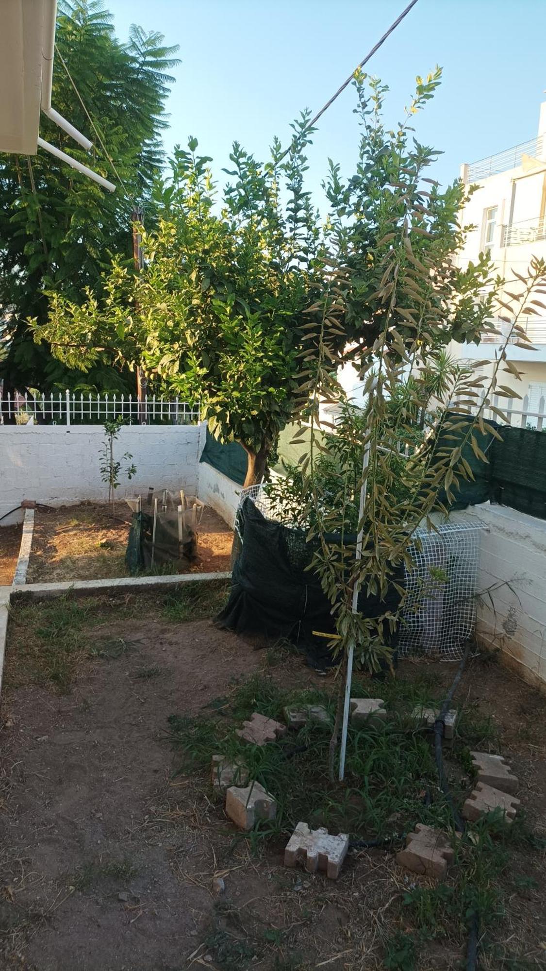 Villa Chalkis Buitenkant foto
